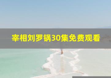 宰相刘罗锅30集免费观看