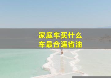 家庭车买什么车最合适省油