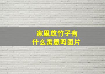 家里放竹子有什么寓意吗图片