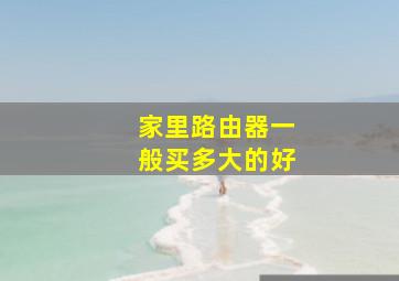 家里路由器一般买多大的好