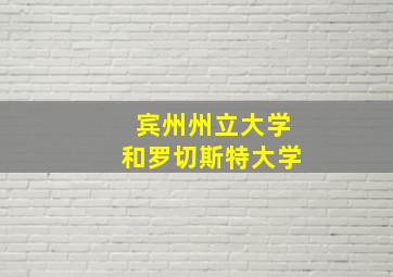 宾州州立大学和罗切斯特大学