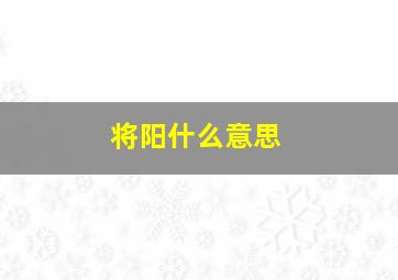 将阳什么意思