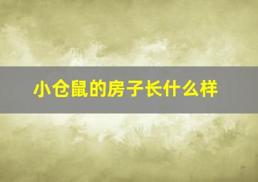 小仓鼠的房子长什么样