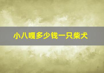 小八嘎多少钱一只柴犬