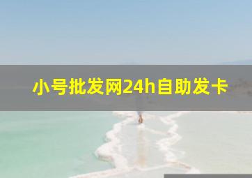 小号批发网24h自助发卡