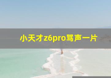 小天才z6pro骂声一片