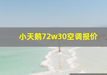 小天鹅72w30空调报价