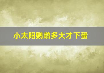 小太阳鹦鹉多大才下蛋