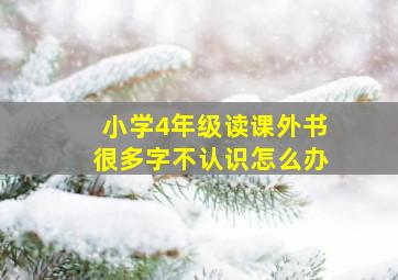 小学4年级读课外书很多字不认识怎么办