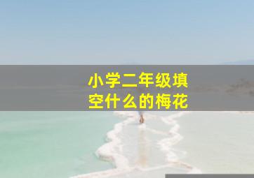 小学二年级填空什么的梅花