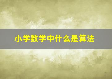 小学数学中什么是算法