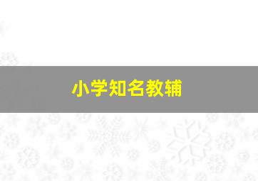 小学知名教辅