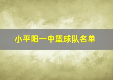 小平阳一中篮球队名单