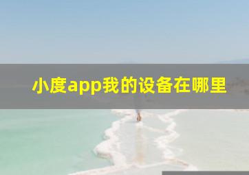 小度app我的设备在哪里