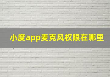 小度app麦克风权限在哪里