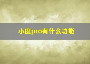 小度pro有什么功能