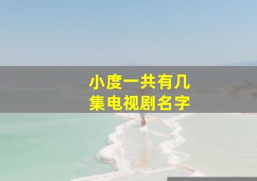 小度一共有几集电视剧名字