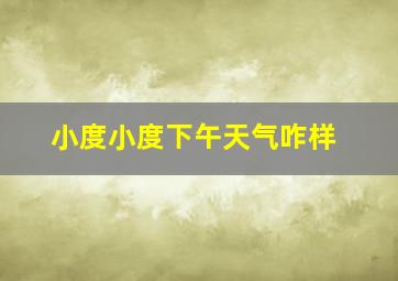 小度小度下午天气咋样