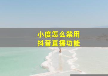 小度怎么禁用抖音直播功能