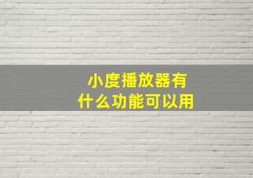 小度播放器有什么功能可以用