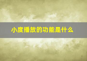 小度播放的功能是什么