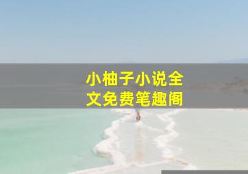 小柚子小说全文免费笔趣阁