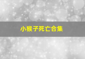 小猴子死亡合集