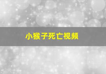 小猴子死亡视频