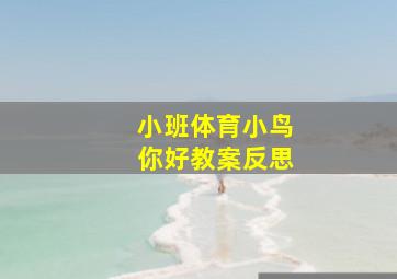 小班体育小鸟你好教案反思