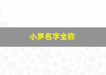 小罗名字全称