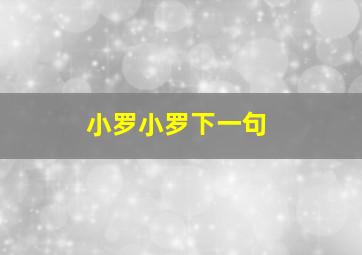 小罗小罗下一句