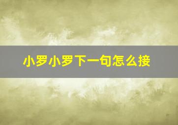 小罗小罗下一句怎么接