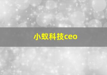 小蚁科技ceo