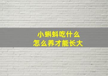 小蝌蚪吃什么怎么养才能长大