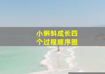 小蝌蚪成长四个过程顺序图