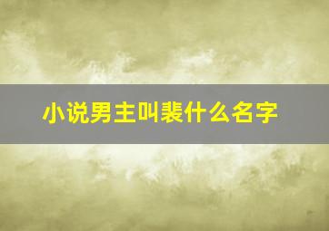 小说男主叫裴什么名字