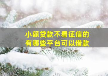 小额贷款不看征信的有哪些平台可以借款