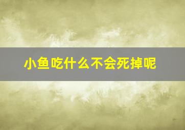 小鱼吃什么不会死掉呢