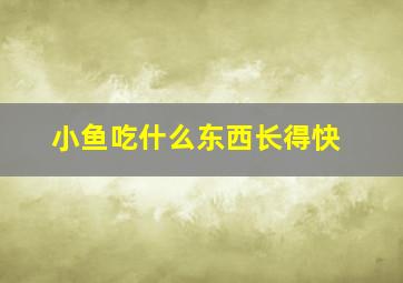 小鱼吃什么东西长得快