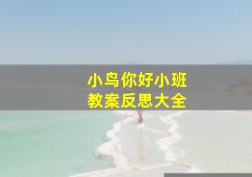 小鸟你好小班教案反思大全