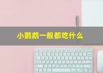 小鹦鹉一般都吃什么