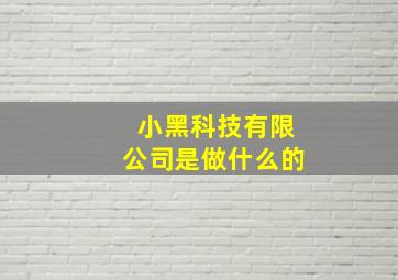 小黑科技有限公司是做什么的