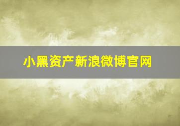 小黑资产新浪微博官网