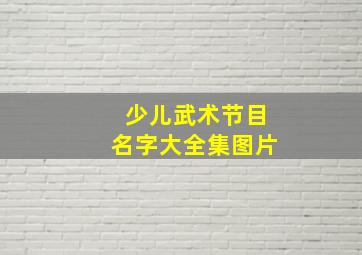 少儿武术节目名字大全集图片