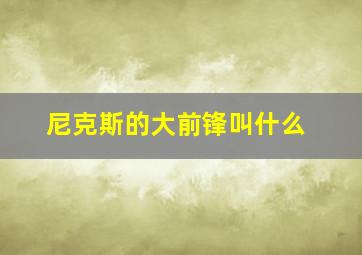 尼克斯的大前锋叫什么