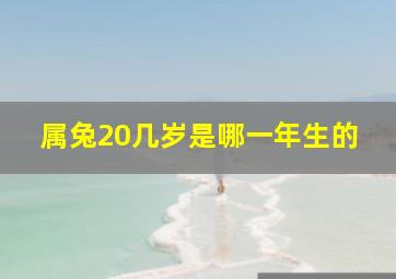 属兔20几岁是哪一年生的