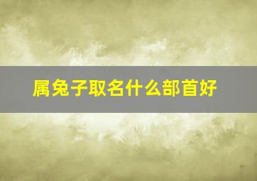 属兔子取名什么部首好