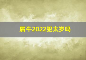 属牛2022犯太岁吗