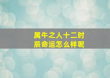 属牛之人十二时辰命运怎么样呢