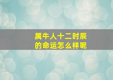 属牛人十二时辰的命运怎么样呢